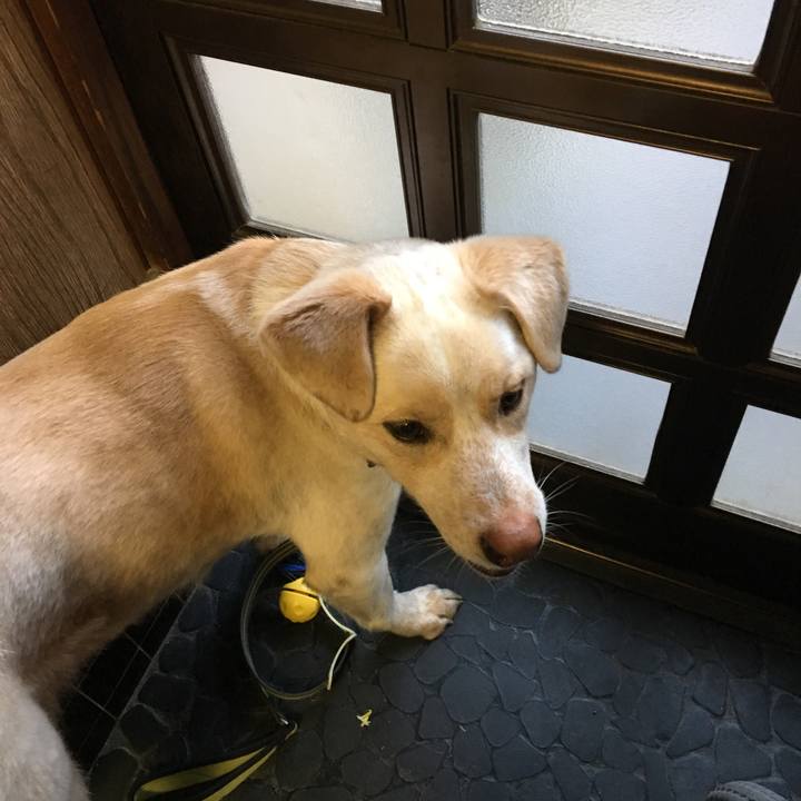 6b63b5c2 c5df 46cb 99d4 9b6b3289e210