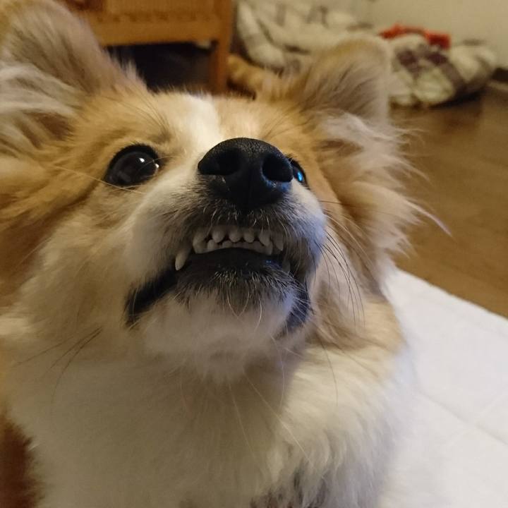 6b6487b6 4aa7 45e9 9d03 81ca3312b443