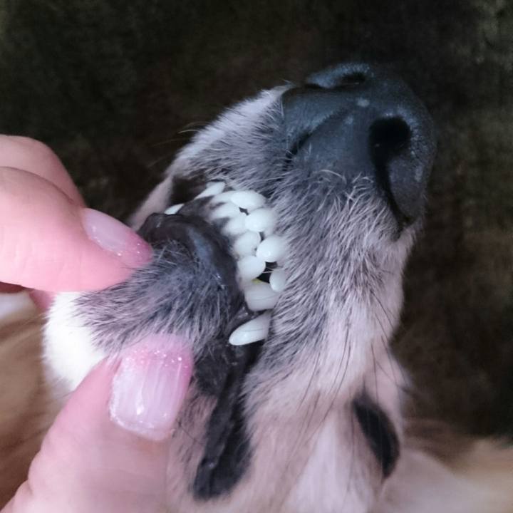 6b64bccb 497e 40a7 86c8 49a33ac3c5be