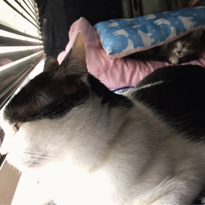 6b64d58f db00 4839 a053 378dc6cb01e0