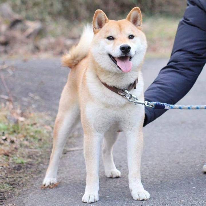 6b6554f9 5731 4e31 984c 1c52cb1f04c8