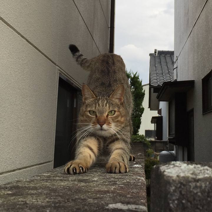 6b65ca68 5b63 4dbb a0b2 83523a6fde96