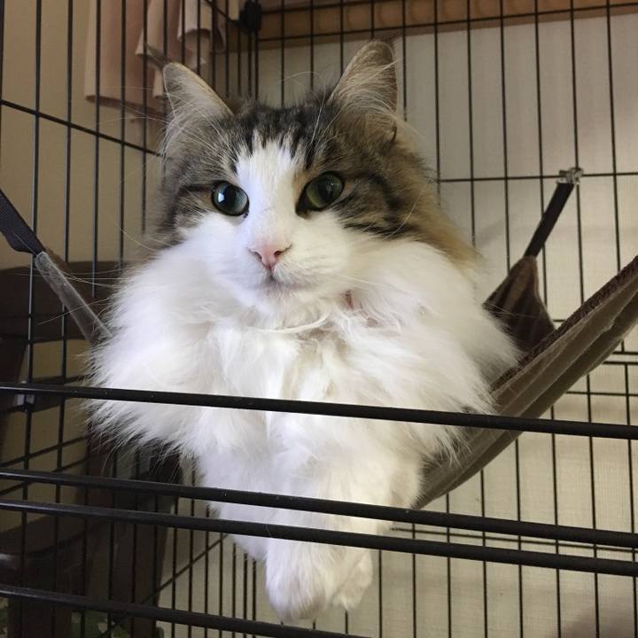 6b65fe7b 23fb 432d 992c 4d44f726389f