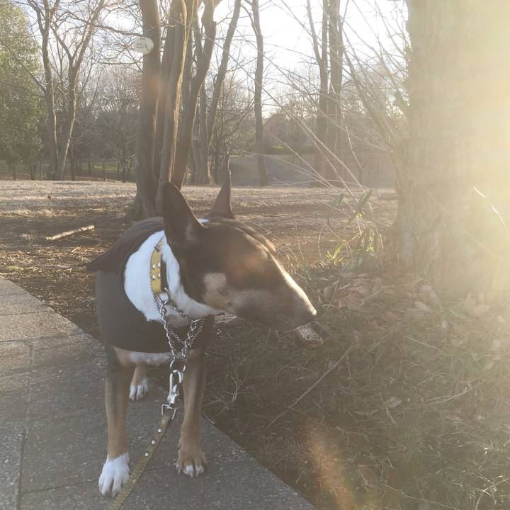 6b662b40 102c 4993 b9c3 a1d898dfde02