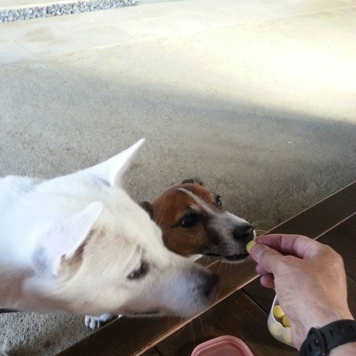 6b665e52 476a 44d5 9505 94b33d1242e2