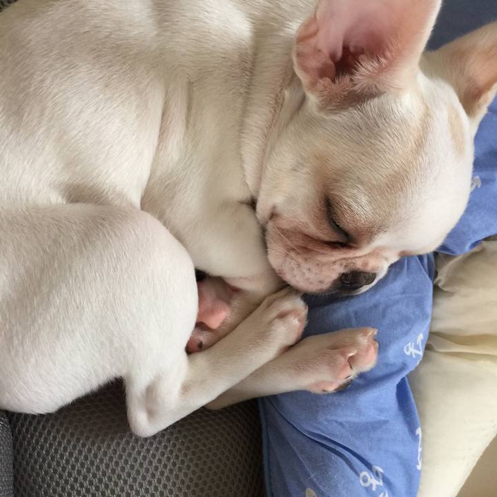 6b668d04 4bd7 4dcb 9c5f 7924ded0a8f6