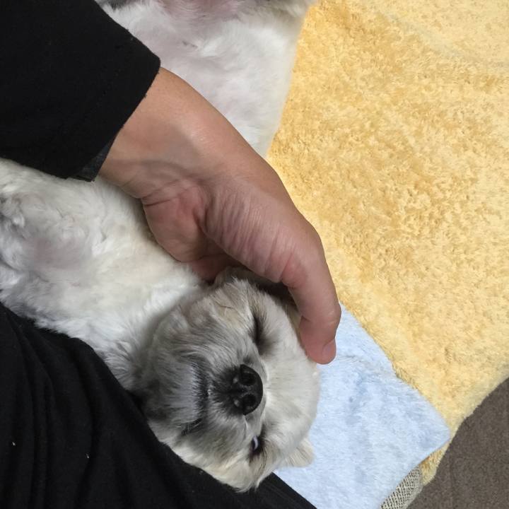 6b66ebf3 3b09 49b7 892b 3badba274581