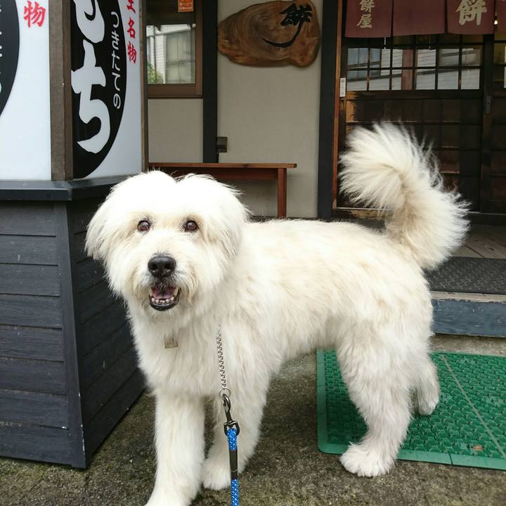 6b672284 1bd3 4a3b 8c1f 295de7a19d95