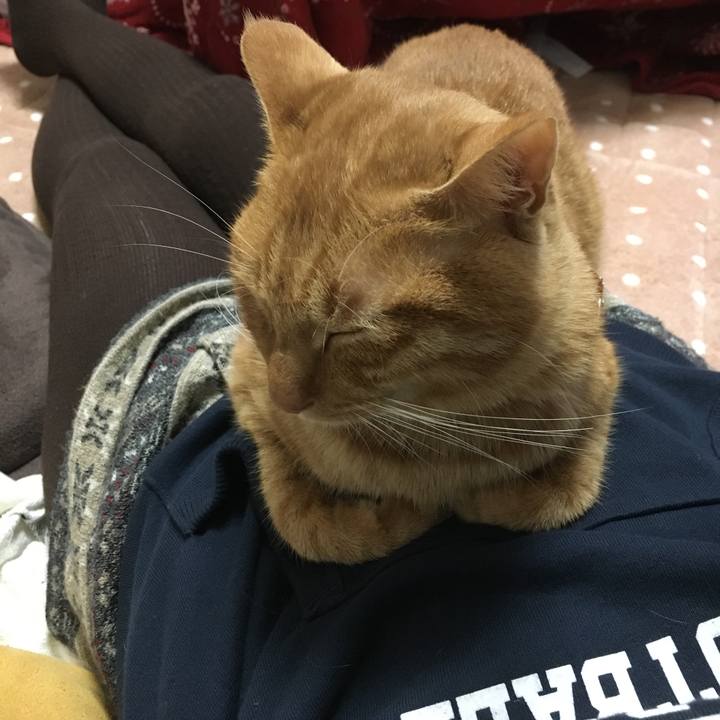 6b67d894 45b2 4197 b369 d5067a1302ee