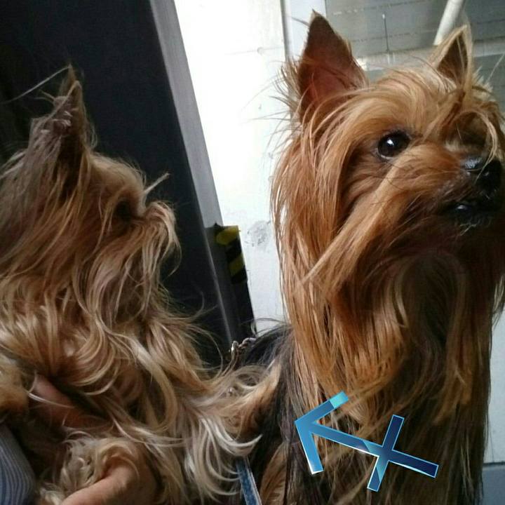 6b686723 b2db 4a05 89ee 9690f470ebd9