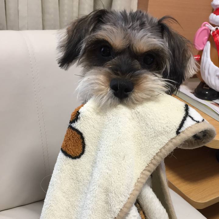 6b689f54 0209 4fb1 b130 36cc0fd2ccd1