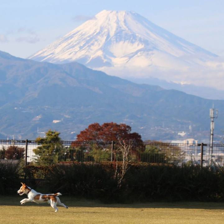 6b68a785 194d 4348 9dcd fe52783495dc