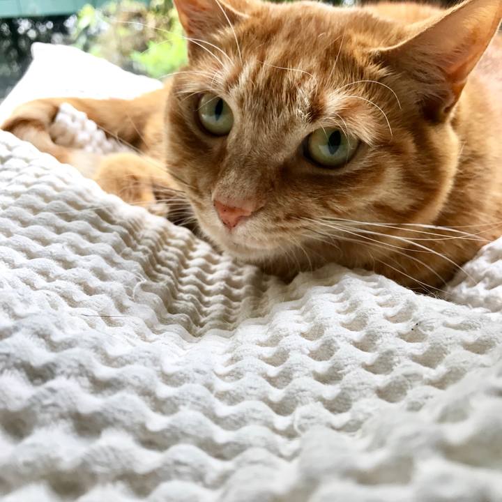 6b68f970 7839 417e a644 8259a251bd58