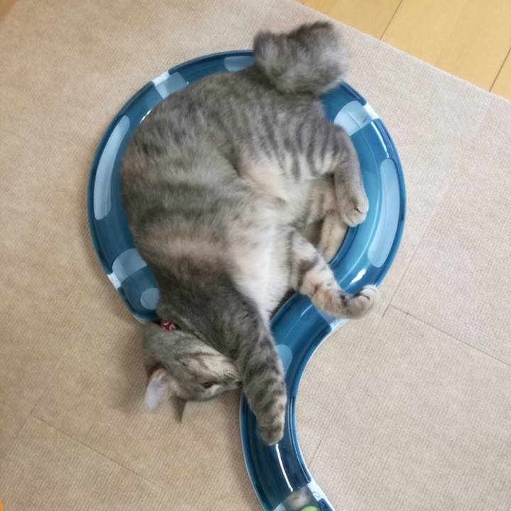 6b691ef2 13b7 4445 8de3 f756ea997a93