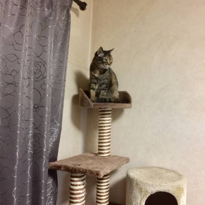 6b69435e 4e77 443d 95f8 8748f56e3f56