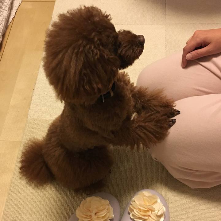 6b694a6f c016 4d20 a39f 47e25c726b1e