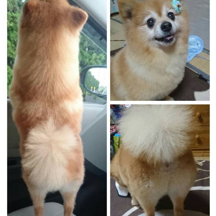 6b6a074c 70a9 4dea 8e55 cfb8ae8ea792