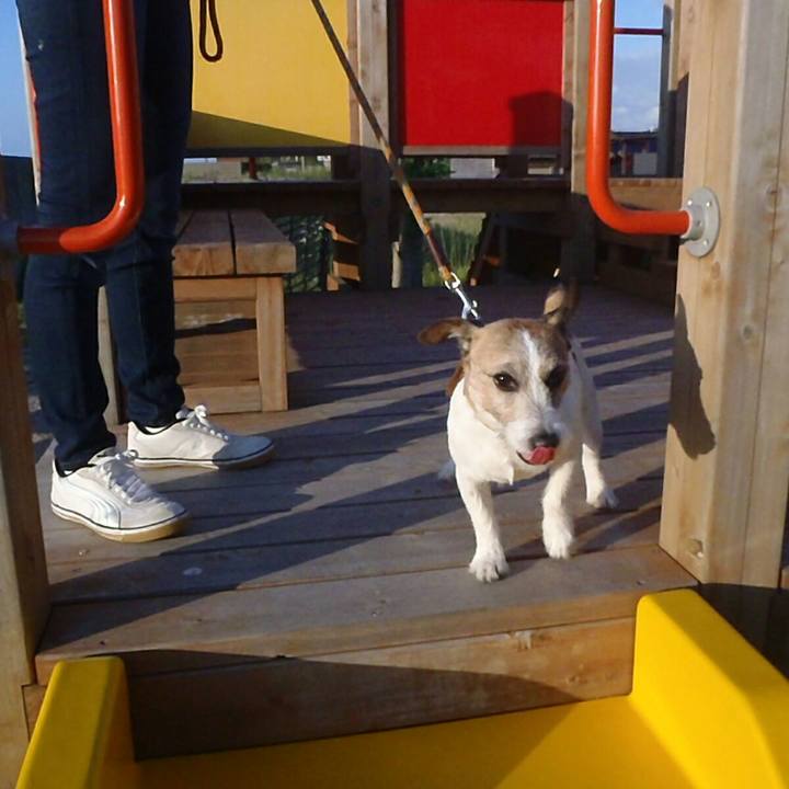 6b6a8fbb f19b 43f5 b545 101a51040eb7