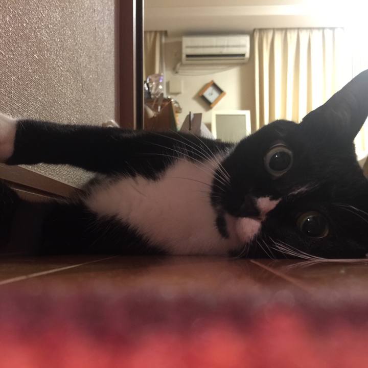 6b6ab284 3528 455f 96b8 eb07fdf8cd71