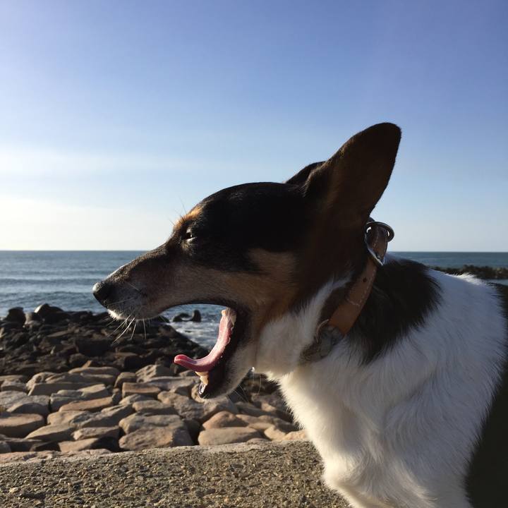 6b6afa0c 3bbd 4535 a21a c02dad6806d4