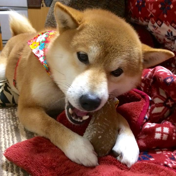 6b6b583b 5632 451e b12c a90d5fa3dec9