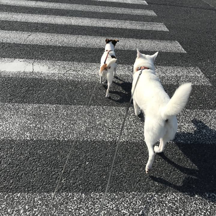 6b6b92d7 8361 49be 949c 60bae3959828