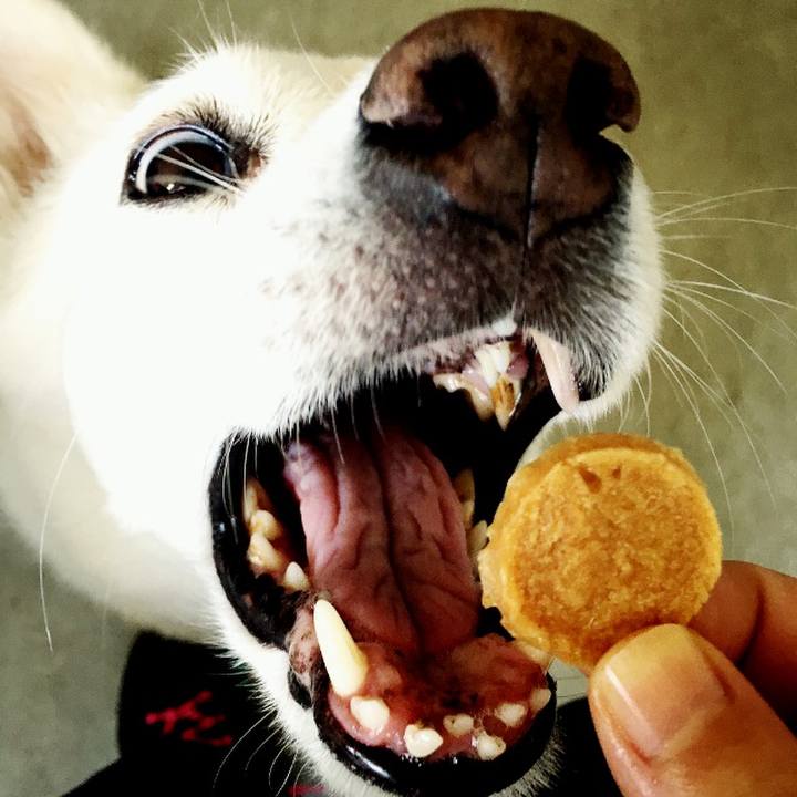 6b6ca170 e936 4758 9fe2 100b67dc2983