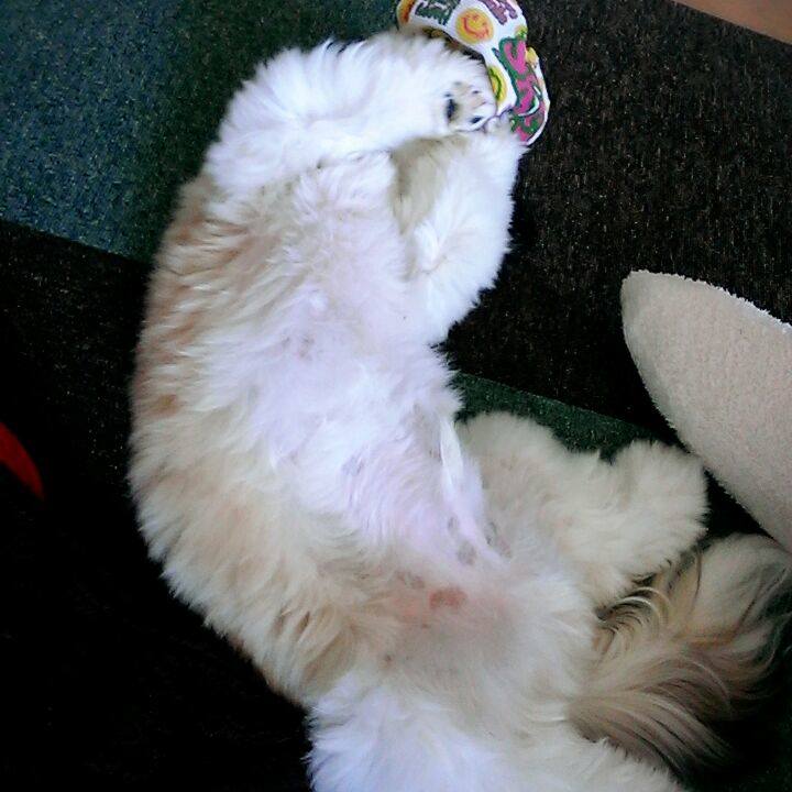 6b6ccbb3 a879 44ba 913c 8d238574f19d