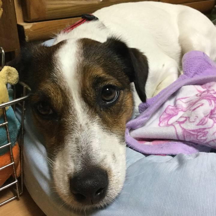 6b6d7260 3441 49be 91bb 9974b895fe42