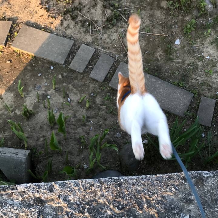 6b6dec66 b39f 4db2 8c13 318d6b0aba07