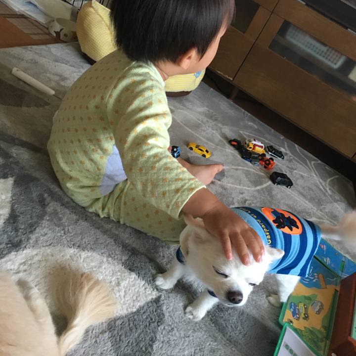 6b6df6a9 a77a 4eef 91f7 70459bc790fc