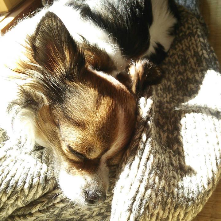 6b6ef201 2368 425b 86e8 01bcb2950060