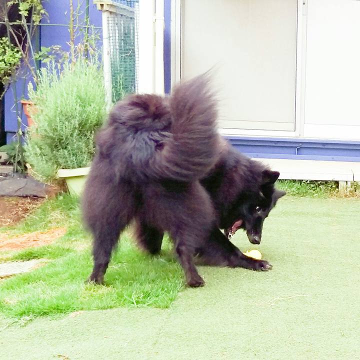 6b70462e 0ac2 40d3 bb22 2c8de9067af9