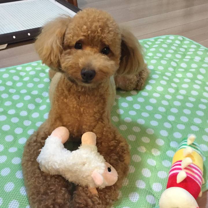 6b707b5a 99f0 4dce 9549 1c268ce2574b