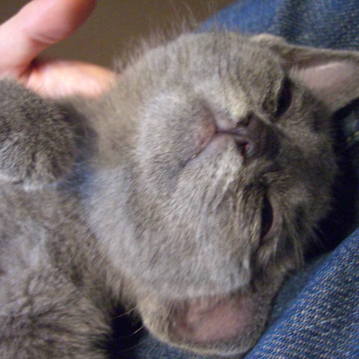 6b709e52 f703 4478 b908 4c24d25230e6