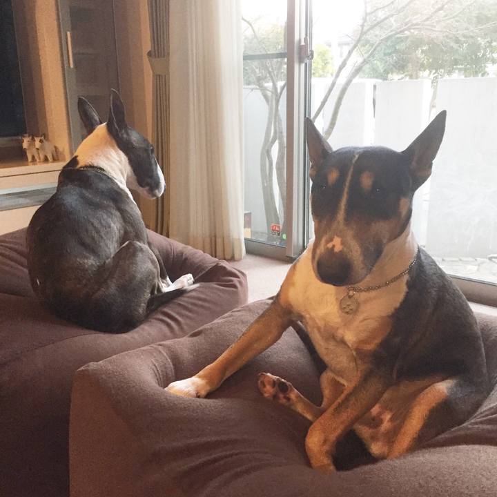 6b70d195 8872 4dbe 8e5b 7922fa5c345c