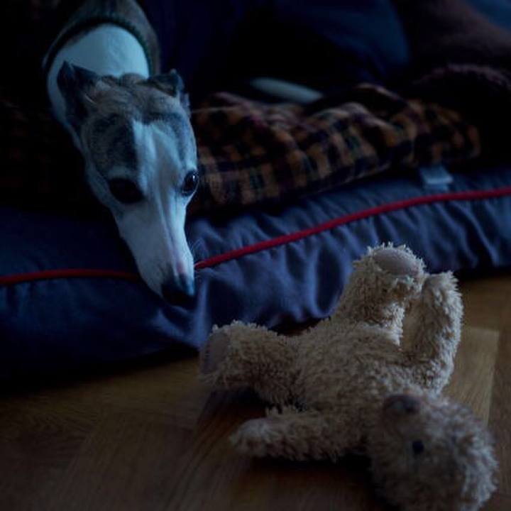 6b7165a3 a4a9 4fce aefe 86c1e8b73381