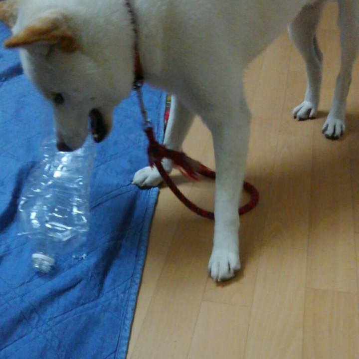 6b71bc04 fa3b 4fba 8bb4 8e81a18ed018