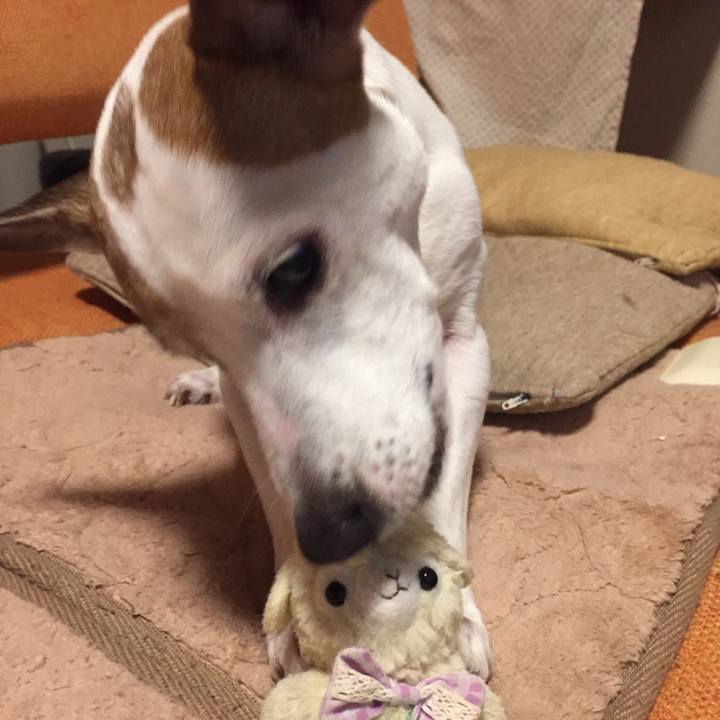 6b71e0d0 6155 4268 b336 6fe77edd2dd7