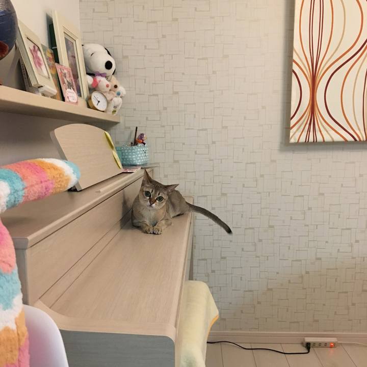 6b727452 d96b 4020 b96b bd8fec59b86d