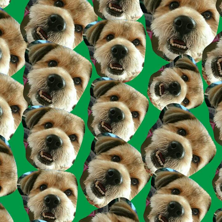 6b72fe5b b645 40a8 877f 9b1b1c68a584