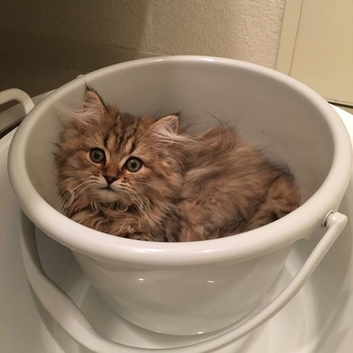 6b730dc1 a63b 4c2d b3eb 9fd674ad23e7