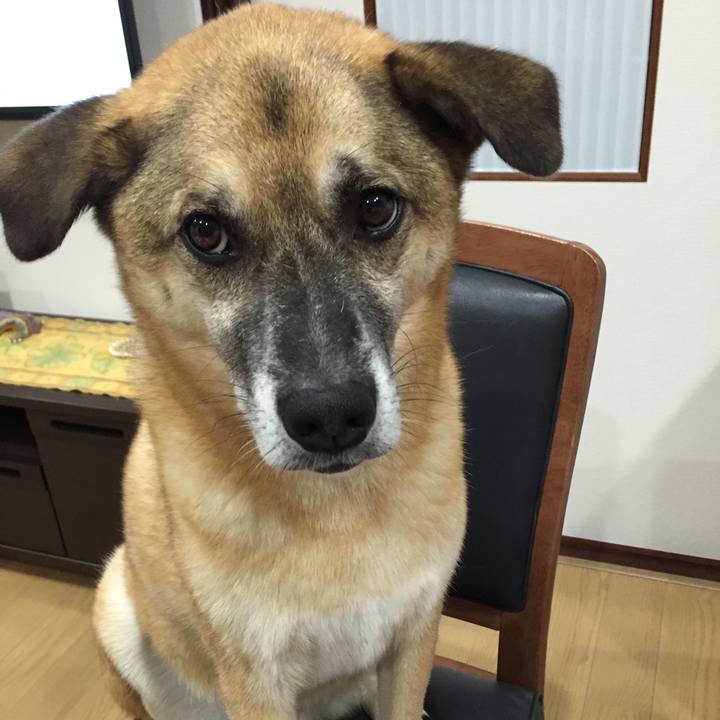 6b747da4 81eb 459d 97a5 3a0fd8747194