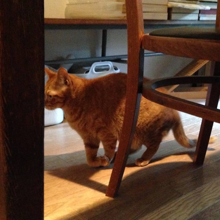 6b756bb3 2ba3 4005 80a2 5adcbc95f7a1