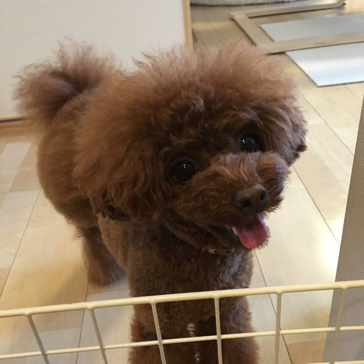 6b756e06 c90a 4ea6 86f9 91c654735364