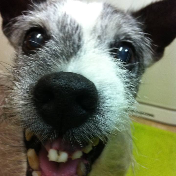 6b758c63 76a0 435e 834c 36a4bb9f306d