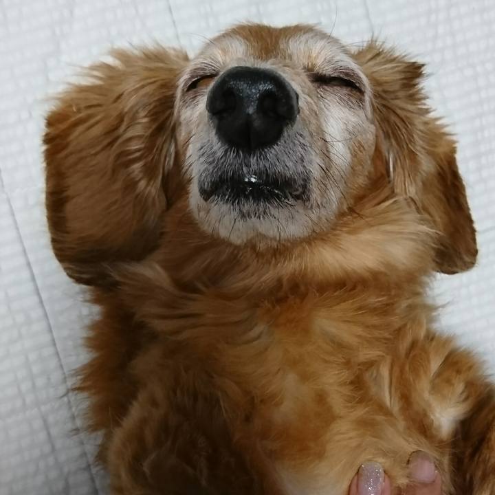 6b770655 8d7e 43e1 ad96 0f0d911ae5e3