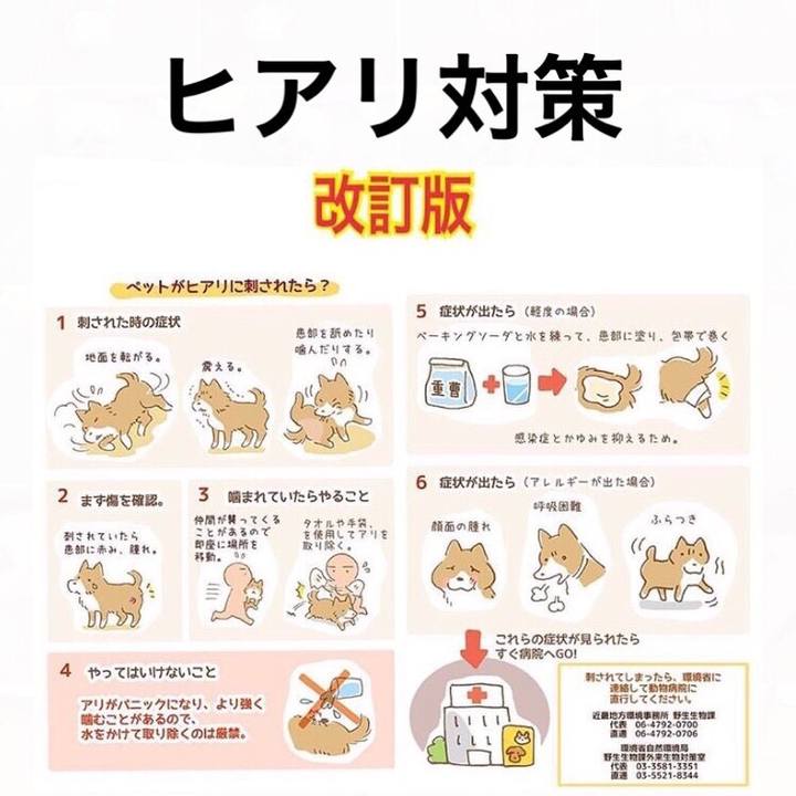 6b77795b 16b9 45b0 9750 393902b60ea7