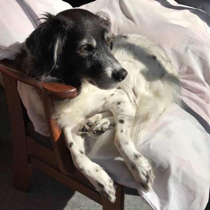 6b777d8a f705 4495 baaf 1ca5d47b094a