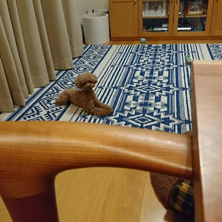 6b778cfa 1091 4c73 ba37 05937096f6f4